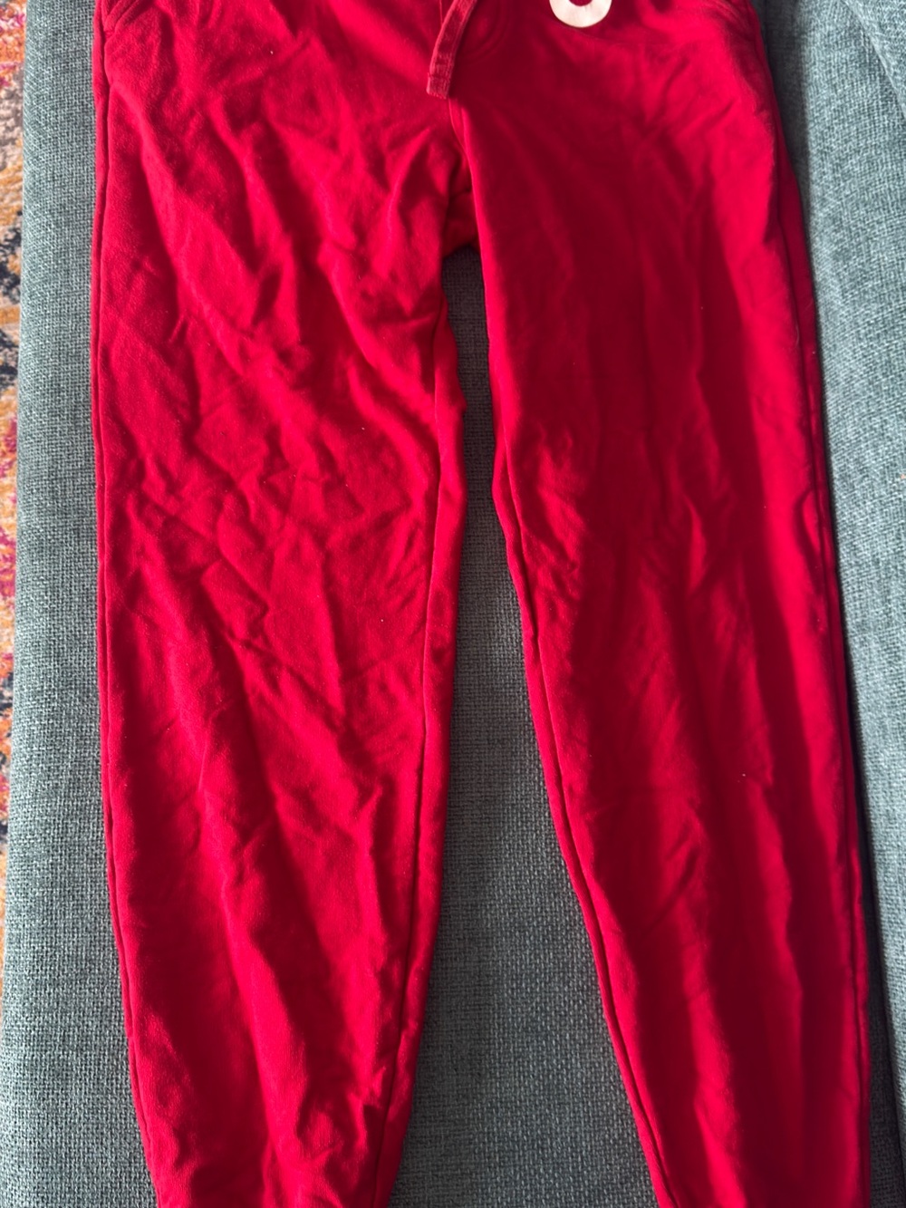True Religion Joggers